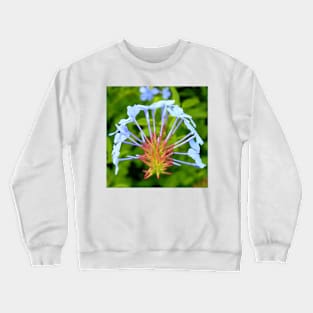 flower II Crewneck Sweatshirt